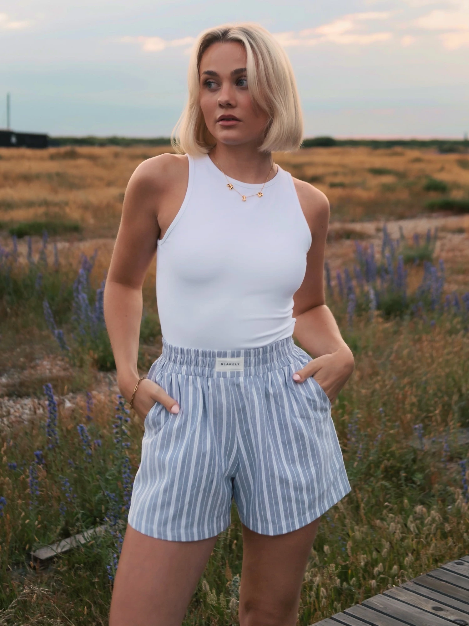 Elena Stripe Shorts - Blue Elena Stripe Shorts - Blue -BLAKELY CLOTHING SHOP Frame185